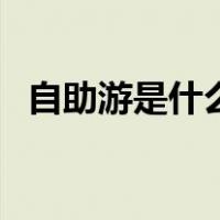 自助游是什么意思啊（自助游是什么意思）