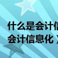 什么是会计信息化改革的重要推动者（什么是会计信息化）