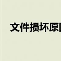 文件损坏原因（文件损坏请运行chkdsk）