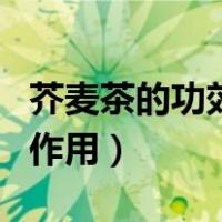 芥麦茶的功效与作用及禁忌（芥麦茶的功效与作用）