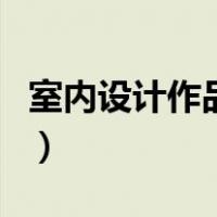 室内设计作品说明怎么写（室内设计作品说明）