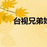 台视兄弟姐妹主题曲（台视兄弟姐妹）