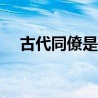 古代同僚是什么意思（同僚是什么意思）