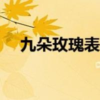 九朵玫瑰表示什么（九朵玫瑰代表什么）