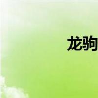 龙驹凤雏什么意思（龙驹）