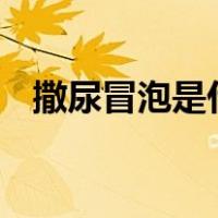 撒尿冒泡是什么问题（snmp是什么意思）