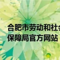合肥市劳动和社会保障局官方网站查询（合肥市劳动和社会保障局官方网站）