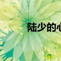 陆少的心尖宠妻全文阅读（陆少）