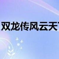 双龙传风云天下完美攻略（双龙传 风云天下）