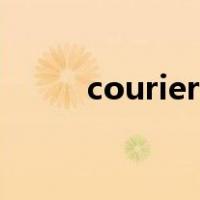 courier什么意思中文（courier）