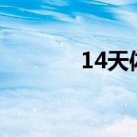 14天体温记录表图片（1 4t）