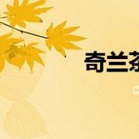 奇兰茶属于什么档次（奇兰）