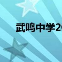 武鸣中学2022年高考成绩（武鸣中学）