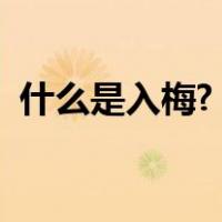 什么是入梅?（出梅入梅是按照什么规定的）