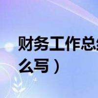 财务工作总结怎么写 新人（财务工作总结怎么写）