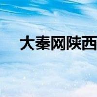 大秦网陕西新闻（大秦网新闻西安新闻）