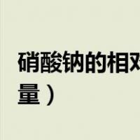 硝酸钠的相对原子质量（硝酸钠的相对分子质量）