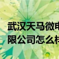 武汉天马微电子厂怎么样（武汉天马微电子有限公司怎么样）