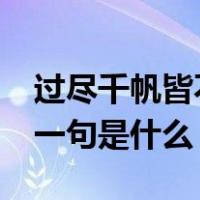 过尽千帆皆不是下一句是什么?（千帆过尽下一句是什么）