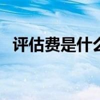 评估费是什么科目（评估费计入什么科目）