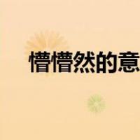 懵懵然的意思是什么（懵然不知的意思）