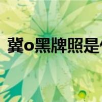 冀o黑牌照是什么意思（黑牌照是什么意思）