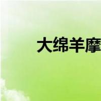大绵羊摩托车图片（大绵羊摩托车）