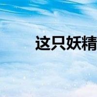 这只妖精有点肥（这只妖精有点二）