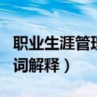 职业生涯管理名词解释题库（职业生涯管理名词解释）
