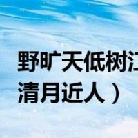 野旷天低树江清月近人的画面（野旷天低树江清月近人）