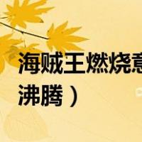 海贼王燃烧意志普通海兽兽骨（海贼王之兽血沸腾）