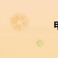 甲级防火门（甲级）