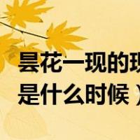 昙花一现的现指的是什么时间（昙花一现的现是什么时候）