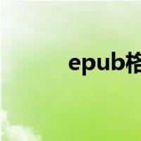 epub格式转换txt（epub格式）