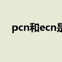 pcn和ecn是什么意思（ecn是什么意思）