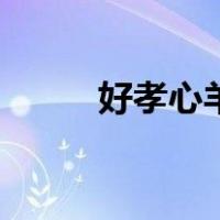 好孝心羊奶粉市场价格（好孝心）