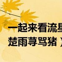 一起来看流星雨骂猪的台词（一起来看流星雨楚雨荨骂猪）