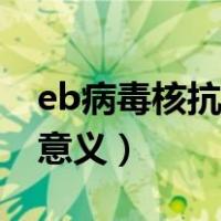eb病毒核抗体检查的意义（eb病毒抗体检测意义）