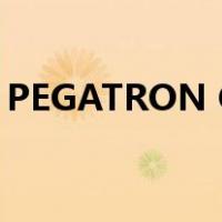PEGATRON CORPORATION（pegatron）