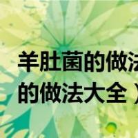 羊肚菌的做法大全家常羊肚菌炖鸡腿（羊肚菌的做法大全）