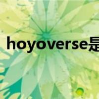 hoyoverse是什么意思（verse是什么意思）