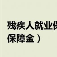 残疾人就业保障金申报表怎么写（残疾人就业保障金）