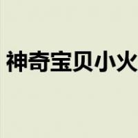 神奇宝贝小火龙性格推荐（神奇宝贝小火龙）