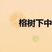 榕树下中文网站（榕树下网站怎么）