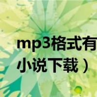 mp3格式有声小说打包下载（mp3格式有声小说下载）
