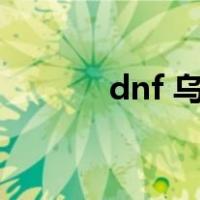 dnf 乌龟（dnf乌龟是哪个图）
