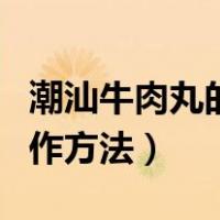 潮汕牛肉丸的制作过程图片（潮汕牛肉丸的制作方法）