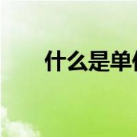 什么是单位成本?（什么是单位成本）