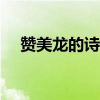 赞美龙的诗句不小于行（赞美龙的诗句）