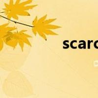scarcely before（scarce）